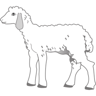 Biblical Diplomacy: Lamb